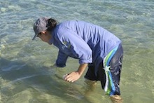 Collecting seawater